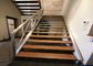 Escaleras rectas prefabricadas decorativas elegantes del funcionamiento con la verja de cristal de acero