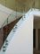 Pilares de cristal montados en la pared Ss de la verja para las escaleras Frameless de la barandilla